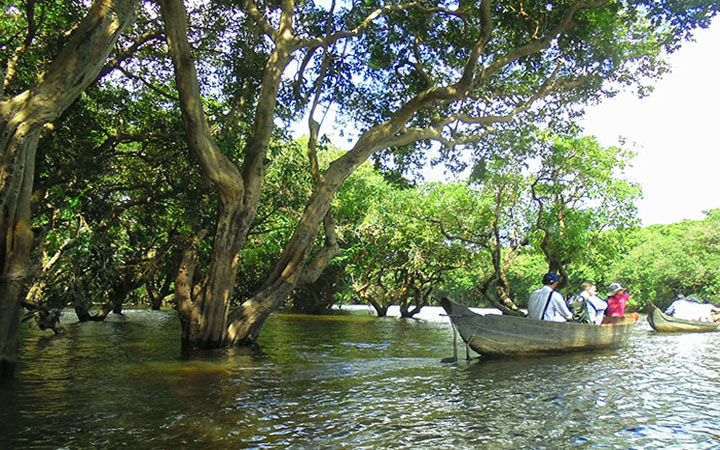 Kompong-Phluk-Mangrove-Canoe-3-700pixel.jpg
